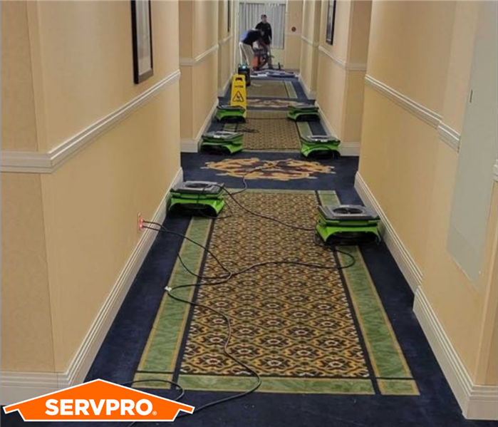 A long Hotel hallway with ornate blue carpeting.  Six green dehumidifiers are lined throughout.